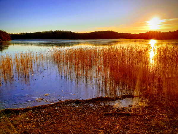 Solnedgång över Kåsjön